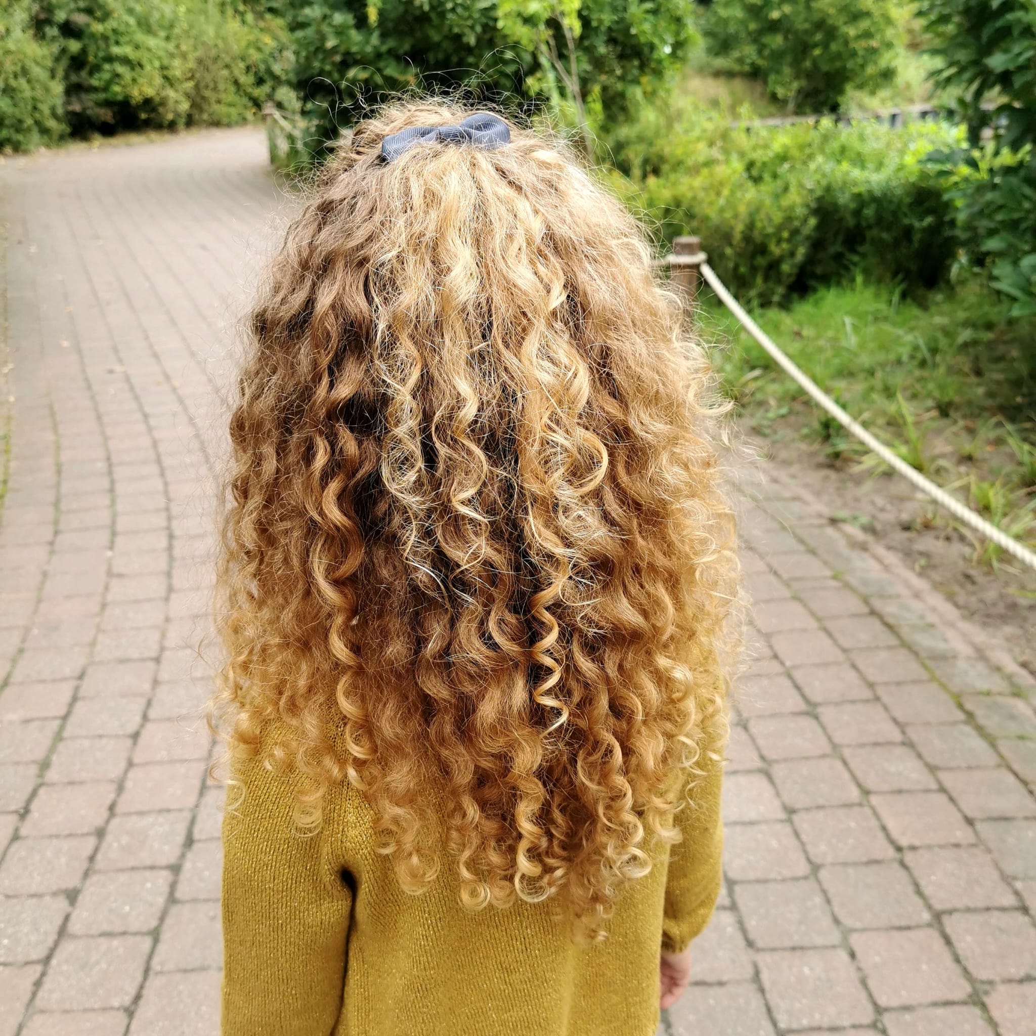Haar